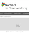 FRONT NEUROANAT期刊详情