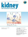 KIDNEY INT期刊全称