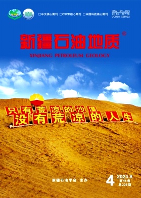 新疆石油地质