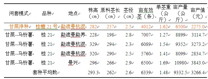 甘蔗宽窄行间套种马铃薯甘蔗产量调查表