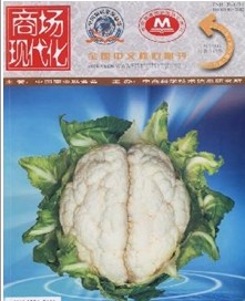 商场现代化杂志社投稿