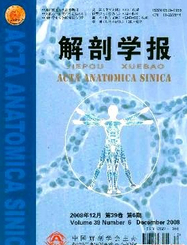 解剖学报