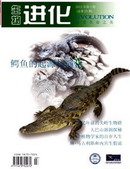 生物进化