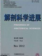 解剖科学进展