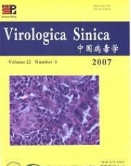  中国病毒学.英文版