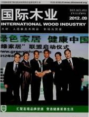 国际木业