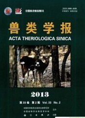 兽类学报杂志社投稿