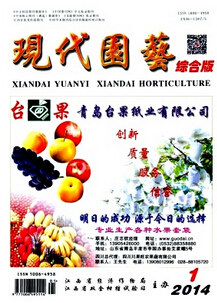 现代园艺
