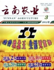 云南农业