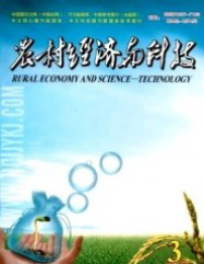 农村经济与科技