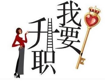 晋升正高只能发表核心论文吗