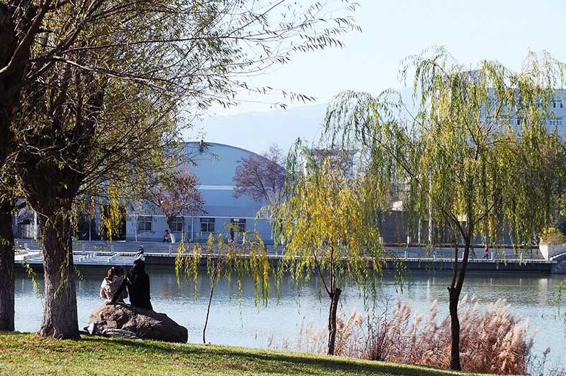 宁夏大学