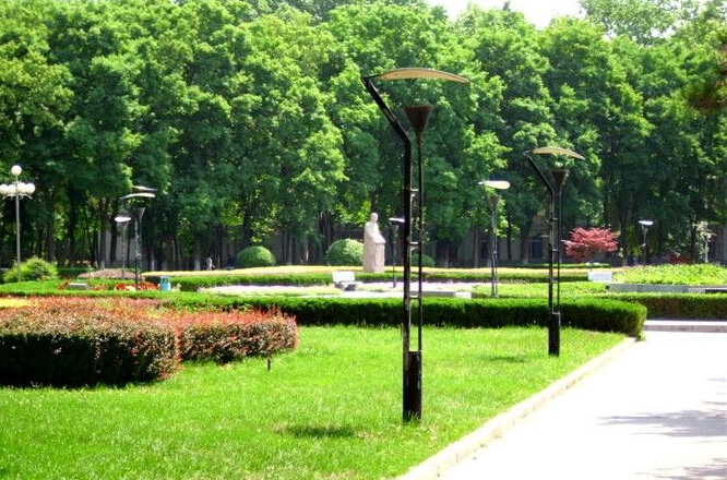 西北农林科技大学