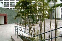 陕西国际商贸学院发表