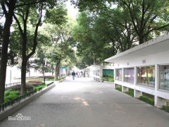 常州大学研究生论文