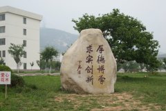 泰山学院