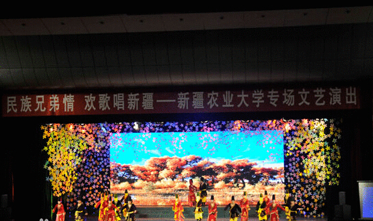 新疆艺术学院