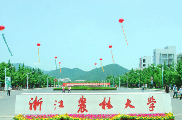 浙江农林大学毕业论文