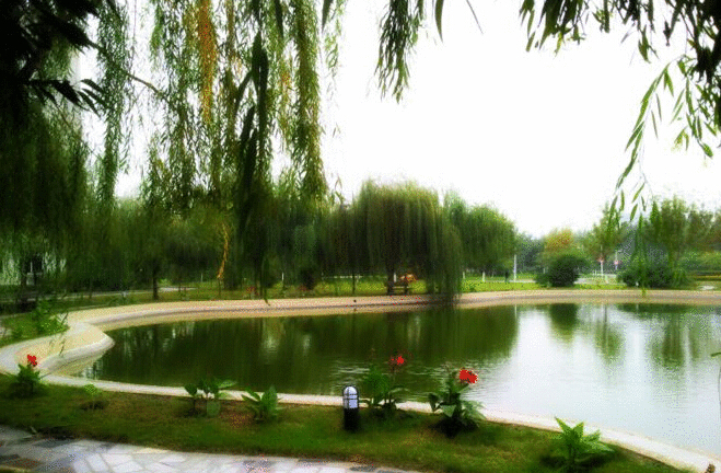 沈阳化工大学