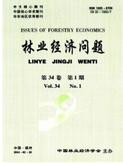 林业经济问题