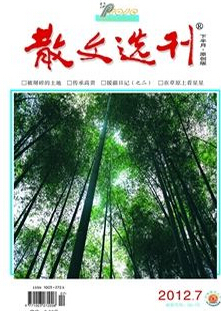 散文选刊杂志投稿