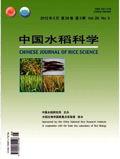 中国水稻科学写作要求有哪些