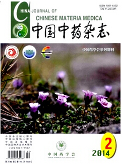 中国中药杂志版面费是多少