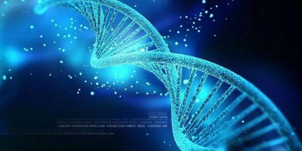 	浅谈微课程在高中生物教学中的设计与应用