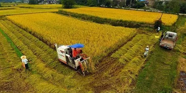 土地集体所有制下的家庭农场生产经营方法初探