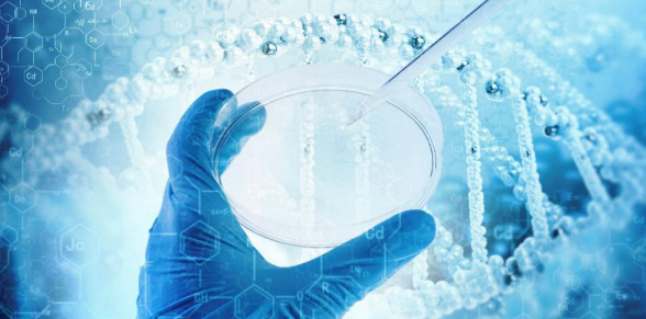 生物论文发表的期刊有哪些