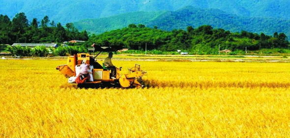 基于乡村振兴视阈下农垦农业现代化研究