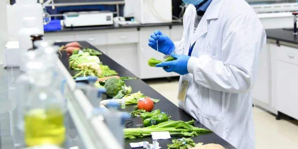 点击化学在食品安全检测中的应用