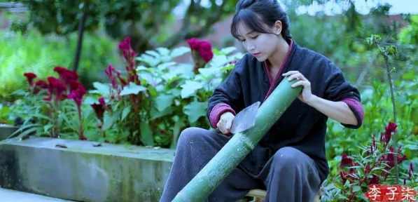 李子柒短视频的内容价值与制作策略探析