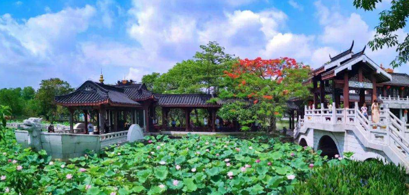 荷花在中国古典园林中的应用及其文化意蕴研究