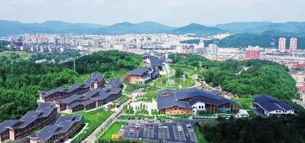 新型城镇化背景下中国城乡统筹的理论与实践问题