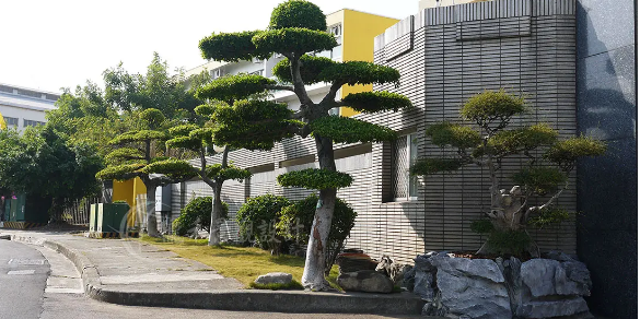 新时期园艺技术和园林景观设计的融合发展