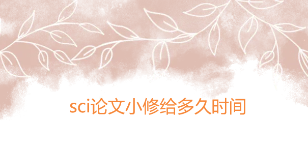 sci论文小修给多久时间