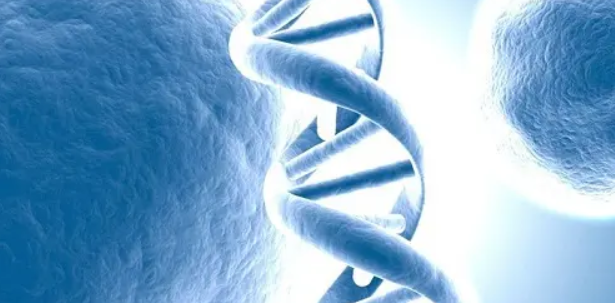 生命科学sci期刊影响因子排名