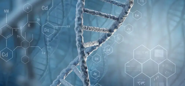 对国人友好的6分生物医学sci期刊推荐