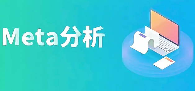 meta分析的基本流程