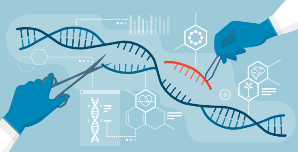 生物学sci一区杂志合集