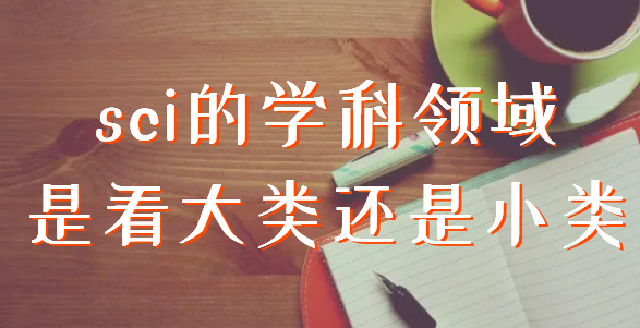 sci的学科领域是看大类还是小类