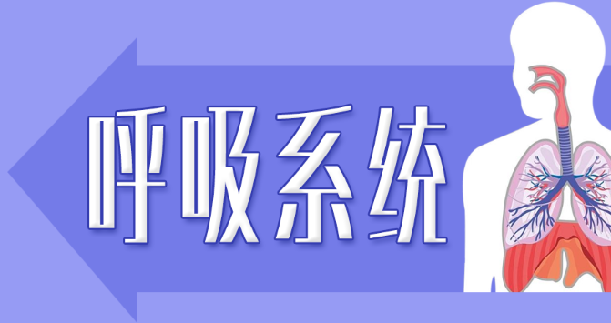 推荐10本医学呼吸系统方向的SCI期刊