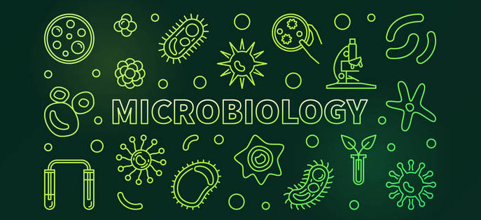 微生物学sci二区期刊有哪些