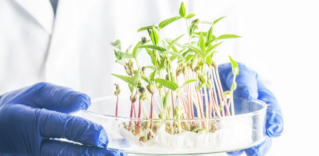 推荐几个较易发表的植物生物学SCI期刊