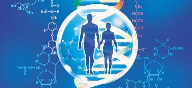 生物医学工程sci期刊排名