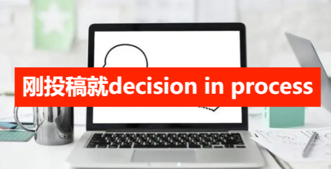 刚投稿就decision in process
