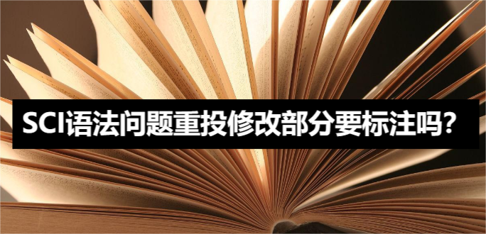 SCI语法问题重投修改部分要标注吗