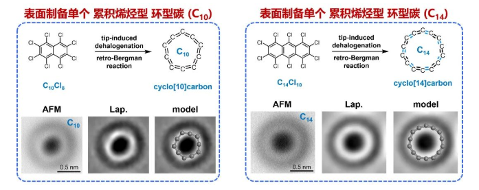 环型碳C10和C14的表面合成策略与化学结构表征