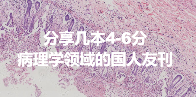 分享几本4-6分病理学领域的国人友刊